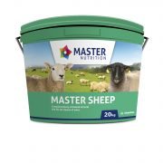 MN_MasterSheep