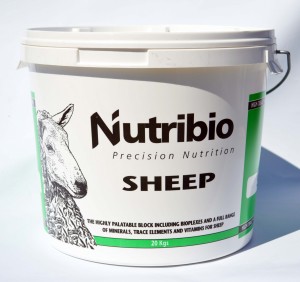 Nutribio Sheep Block_20kg Image